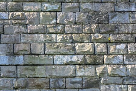 Texture background brick wall