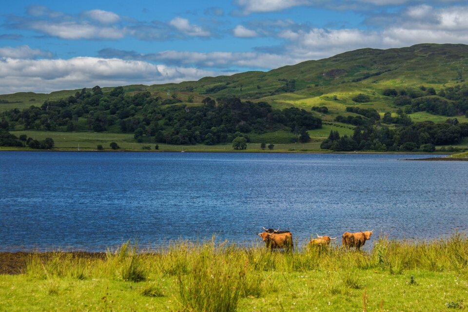 Lake water landscape
