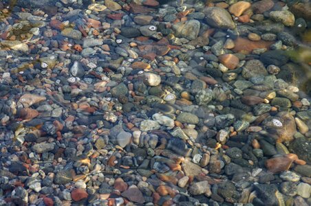 Sea bottom stone