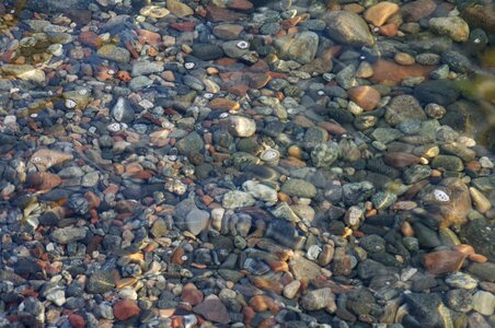 Sea bottom stone photo