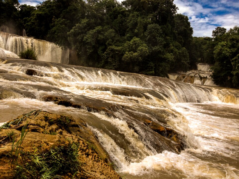 Water nature river