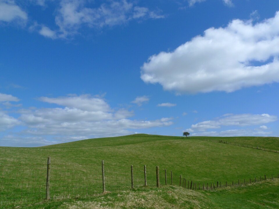 Green field countryside