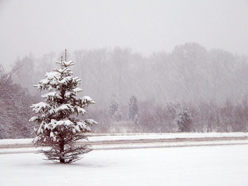 Christmas xmas winter
