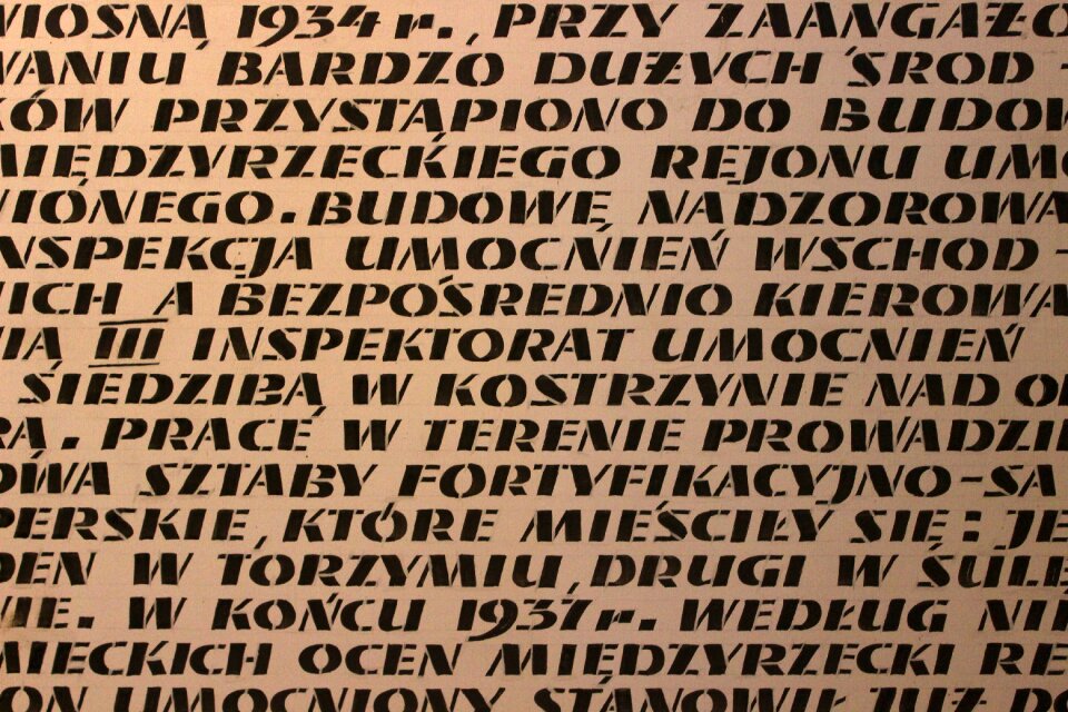 Polish military reinforcement