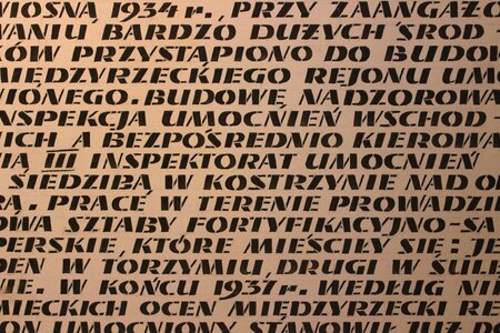 Polish military reinforcement