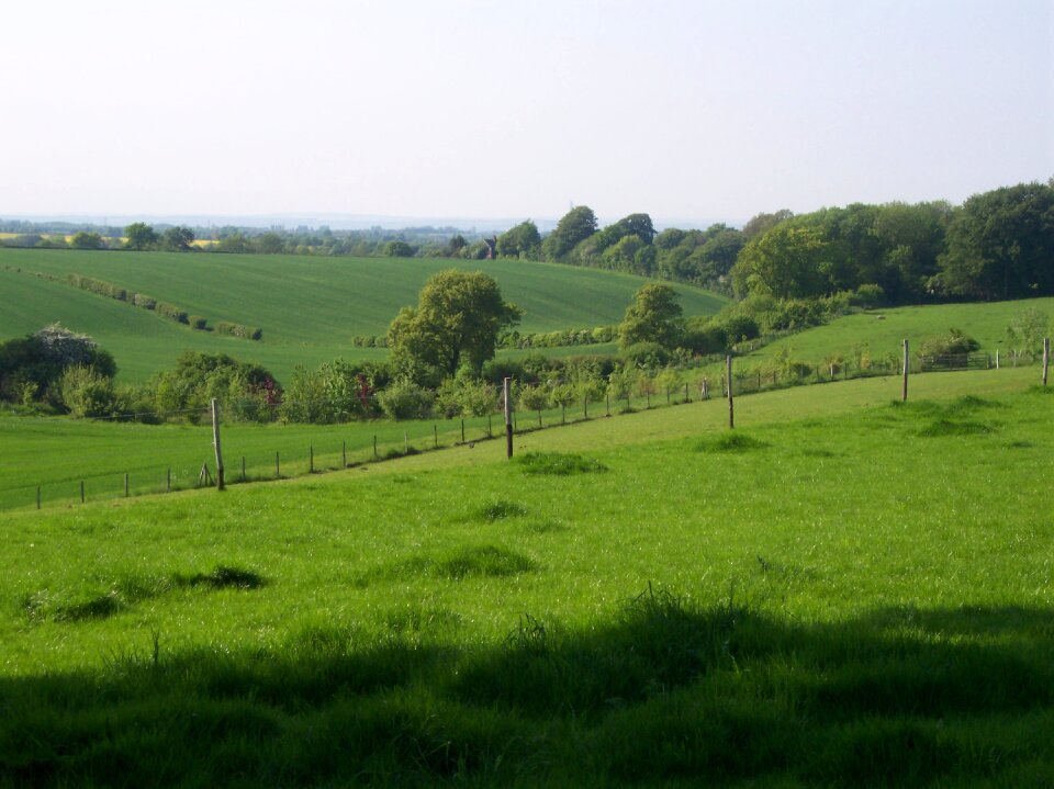 Sittingbourne country park