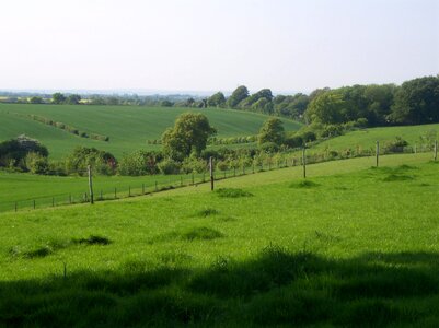 Sittingbourne country park photo