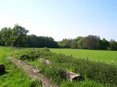 Sittingbourne country park