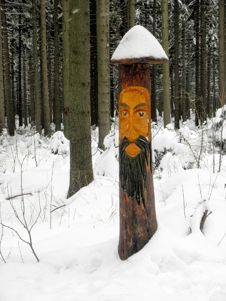 Wood carving figure wood