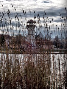 Autumn water tower reed
