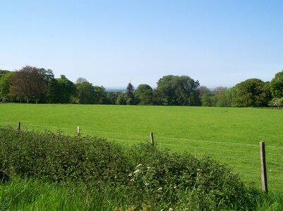 Sittingbourne country park photo