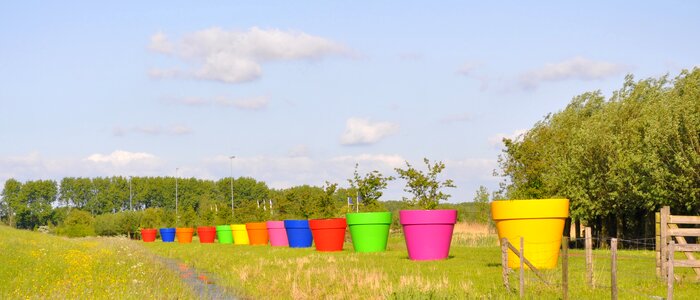 Flower pots along the highway summer