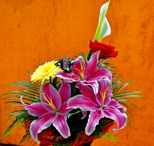 Flower bouquet color