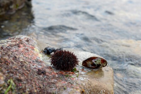 Istanbul turkey beach photo