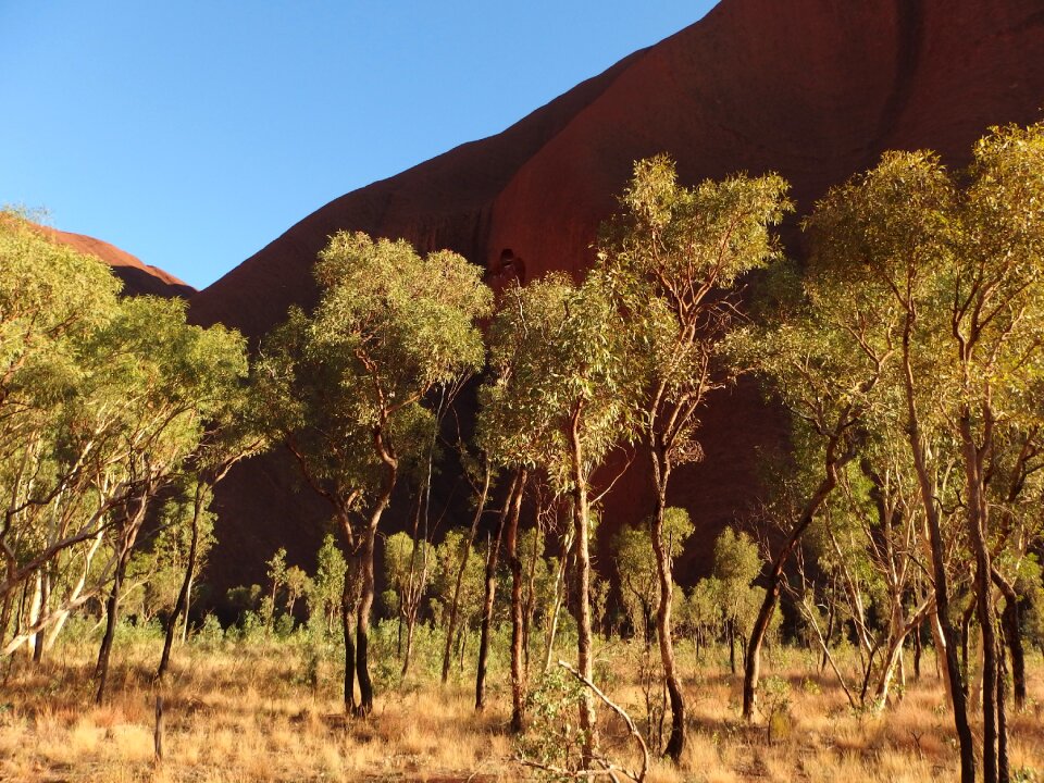 Uluru ayers rock australia