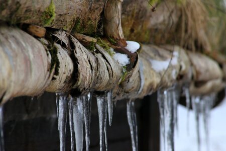 Wood cold winter photo