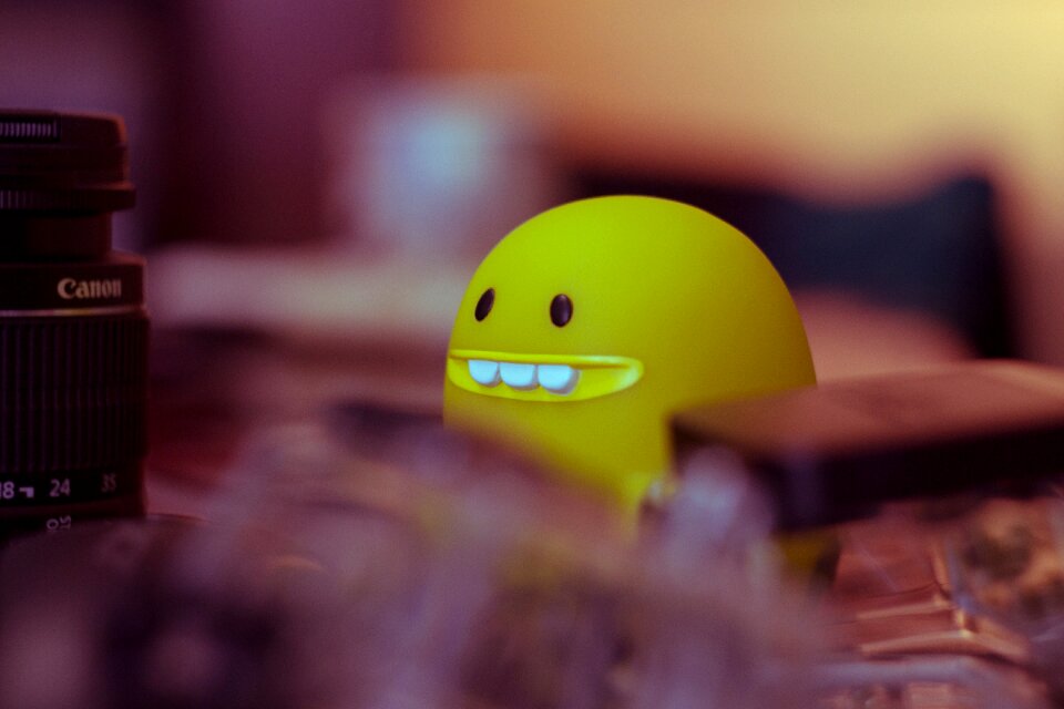 Blur background tortoise