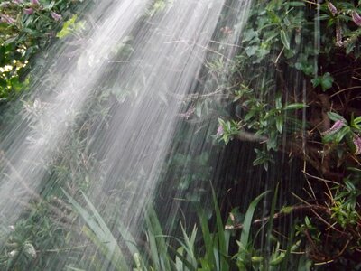 Hose wet raindrop