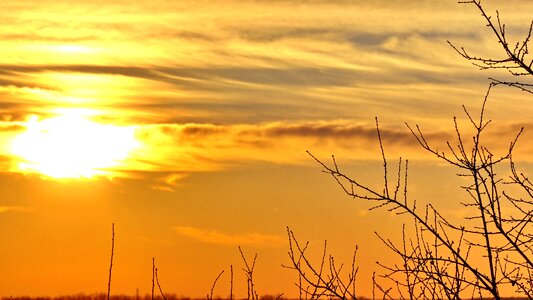 Sunset yellow day s photo