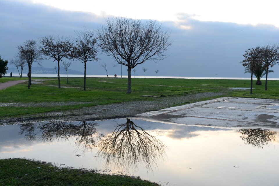 Istanbul tree beach