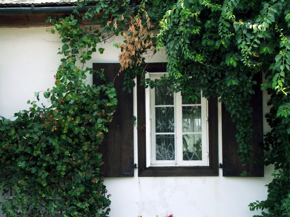 Architecture shutters poland