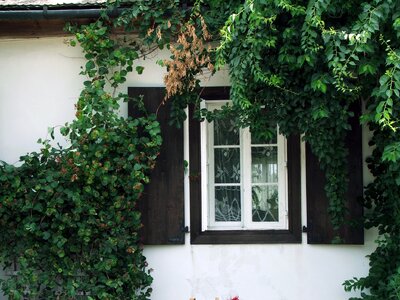 Architecture shutters poland