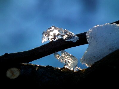 Frozen icicle blue photo