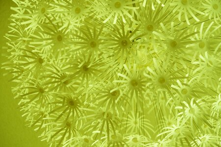 Pattern background abstract