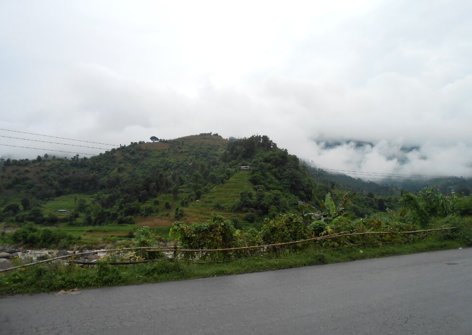 Mountain trees road