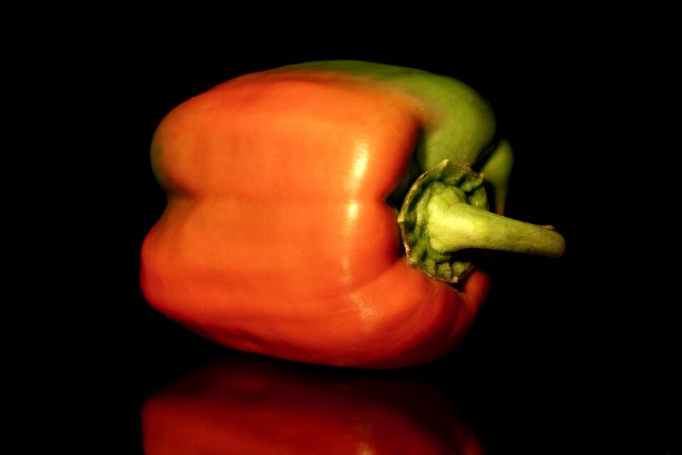 Healthy orange green