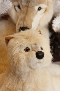 Baby beautiful christmas