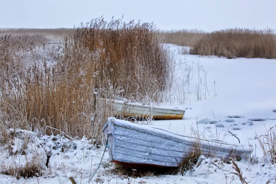 Boat reed rowing boats