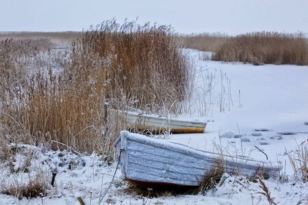 Boat reed rowing boats