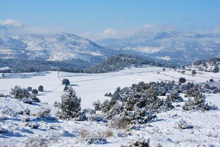 Mount murcia winter