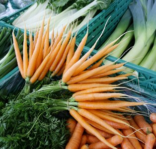 Carrot vegetables market