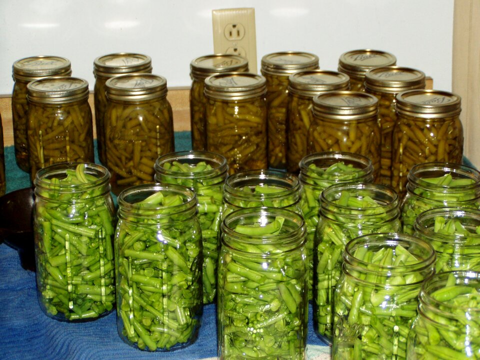 Food nutrition vegetable