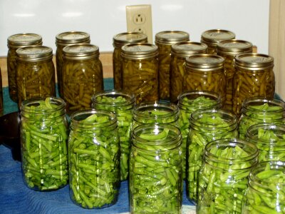 Food nutrition vegetable