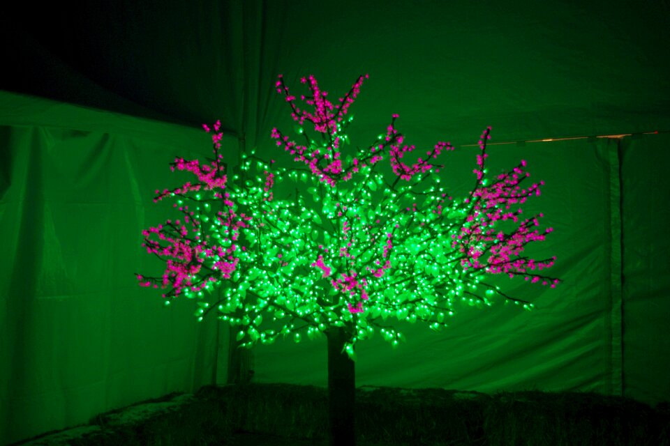 Green purple