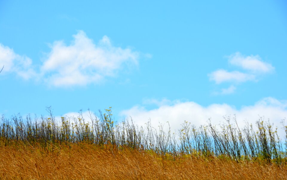 Blue weather cloudscape