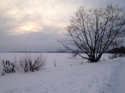 Nature winter sweden photo