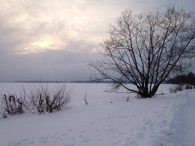 Nature winter sweden