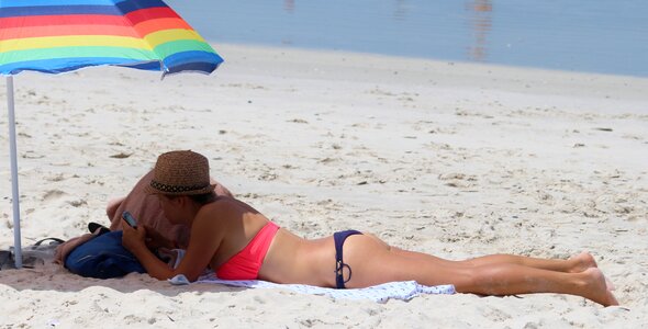 Coneflower parasol beach photo