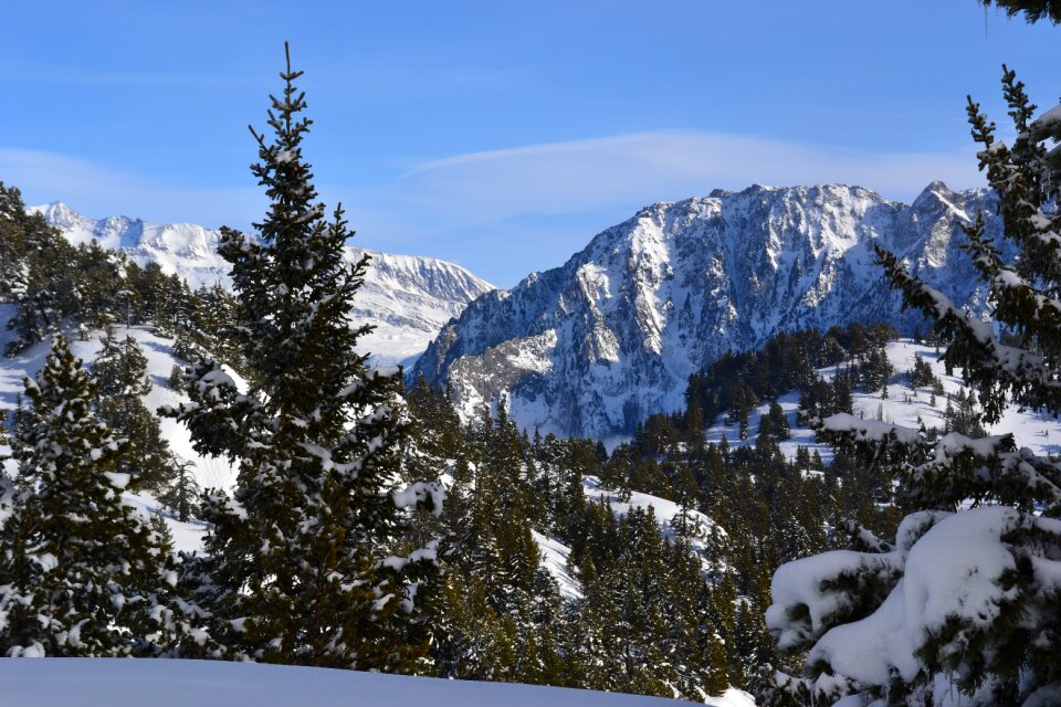 Nature landscape white