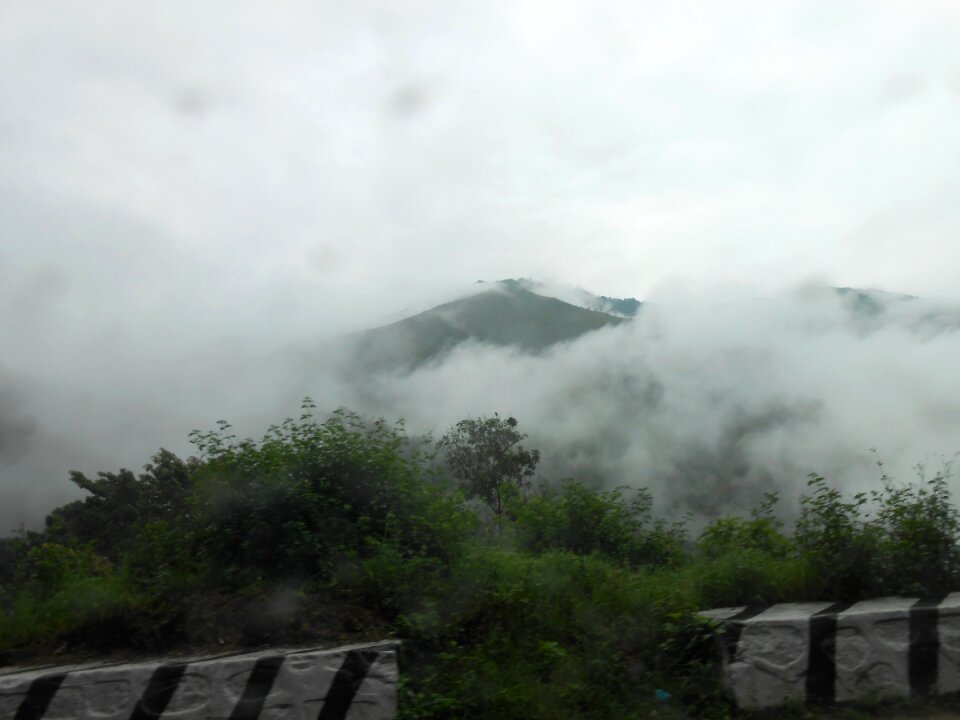 Fog meadow outdoor