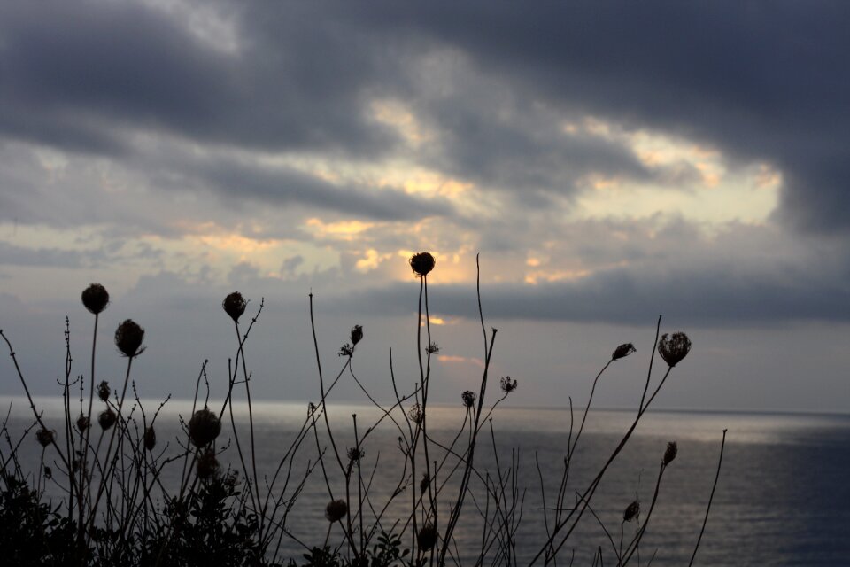 Silhouette beach