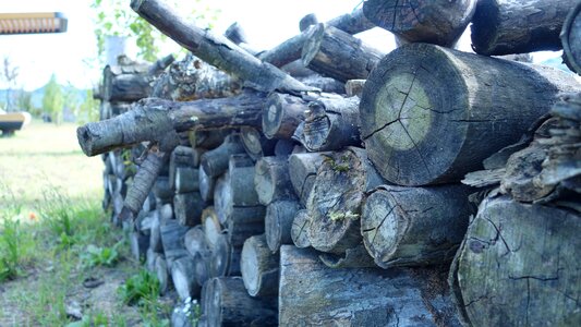 Firewood park wood