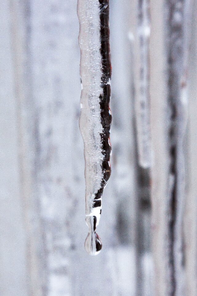 Cold winter white