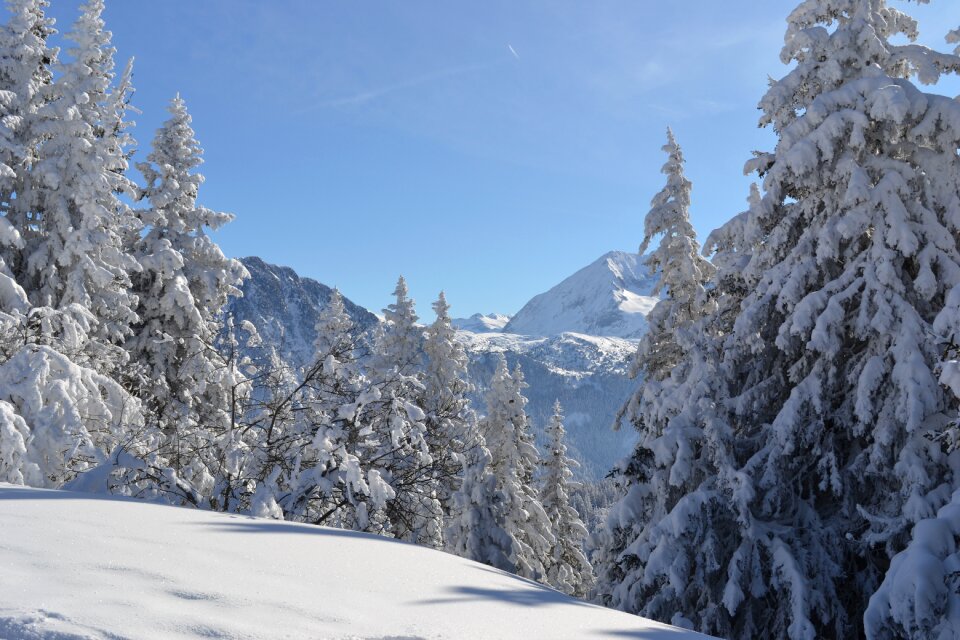 Mountain snowy landscape