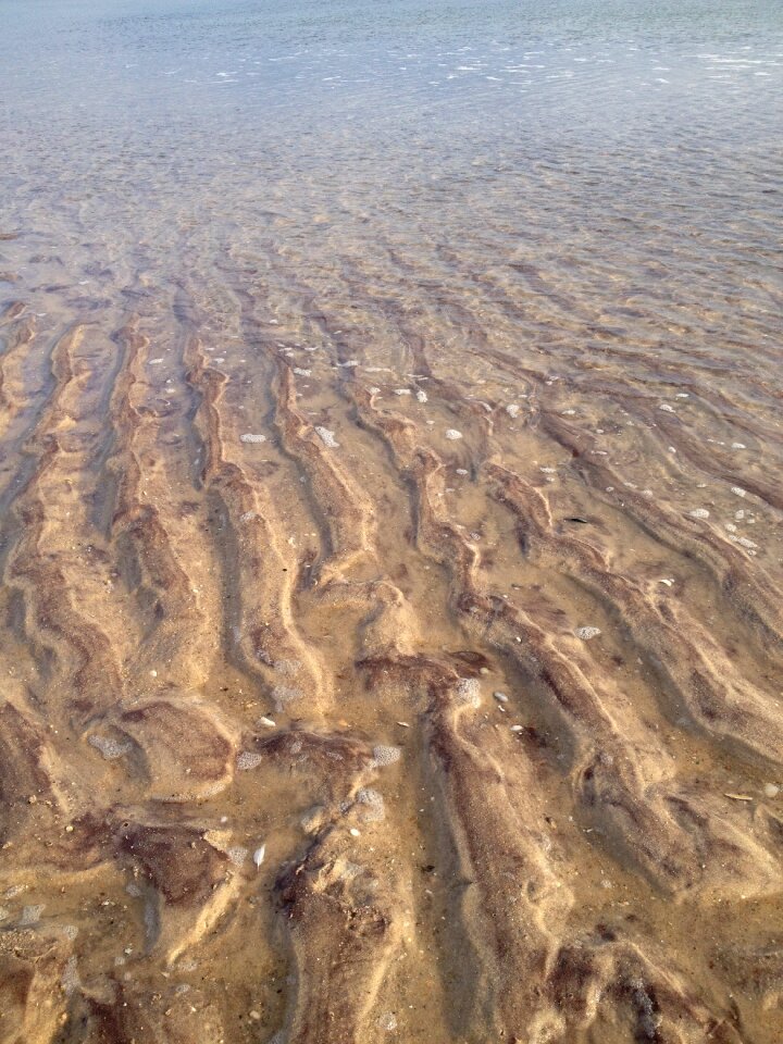 Water beach shore