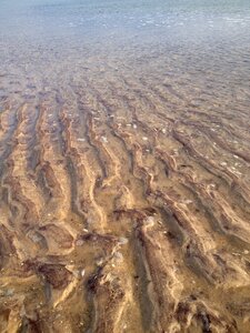 Water beach shore